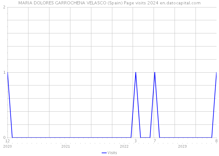 MARIA DOLORES GARROCHENA VELASCO (Spain) Page visits 2024 