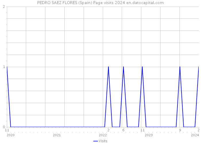 PEDRO SAEZ FLORES (Spain) Page visits 2024 