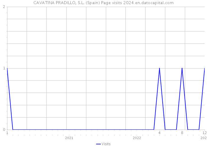 CAVATINA PRADILLO, S.L. (Spain) Page visits 2024 