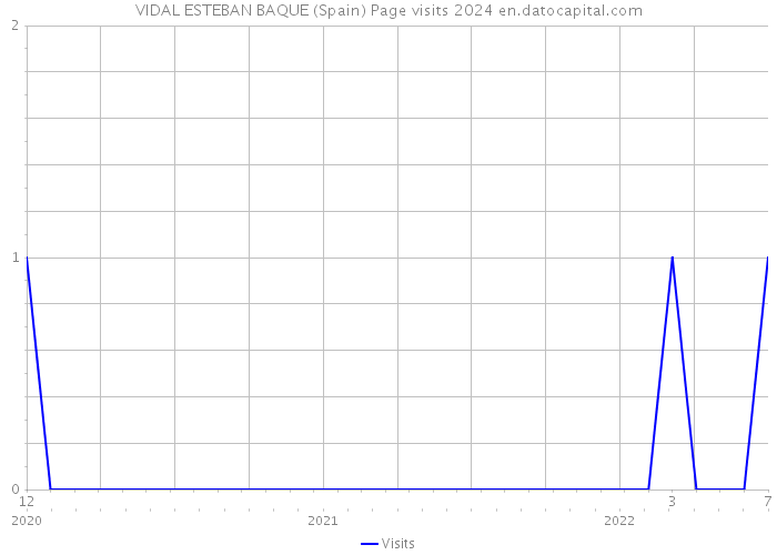 VIDAL ESTEBAN BAQUE (Spain) Page visits 2024 