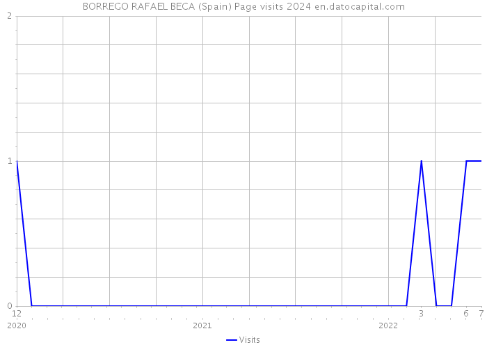 BORREGO RAFAEL BECA (Spain) Page visits 2024 