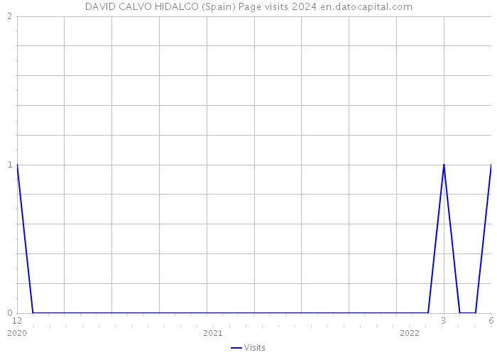 DAVID CALVO HIDALGO (Spain) Page visits 2024 