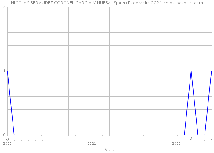 NICOLAS BERMUDEZ CORONEL GARCIA VINUESA (Spain) Page visits 2024 