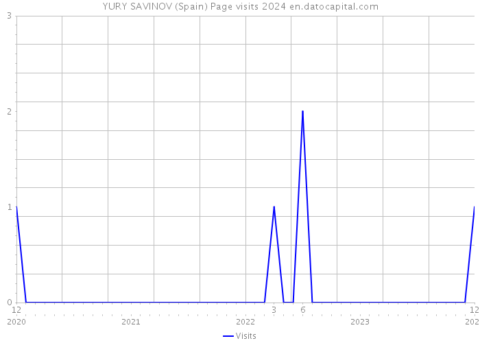 YURY SAVINOV (Spain) Page visits 2024 