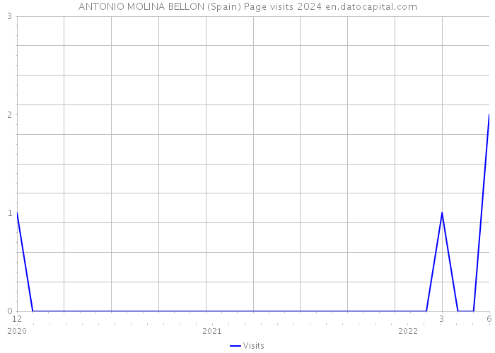 ANTONIO MOLINA BELLON (Spain) Page visits 2024 