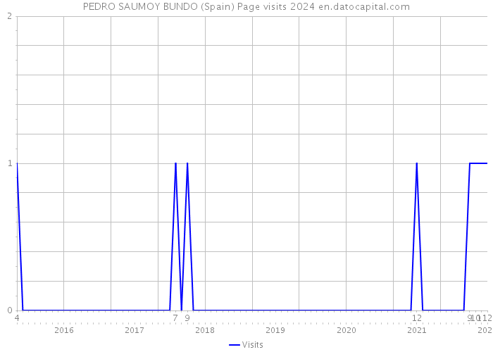 PEDRO SAUMOY BUNDO (Spain) Page visits 2024 