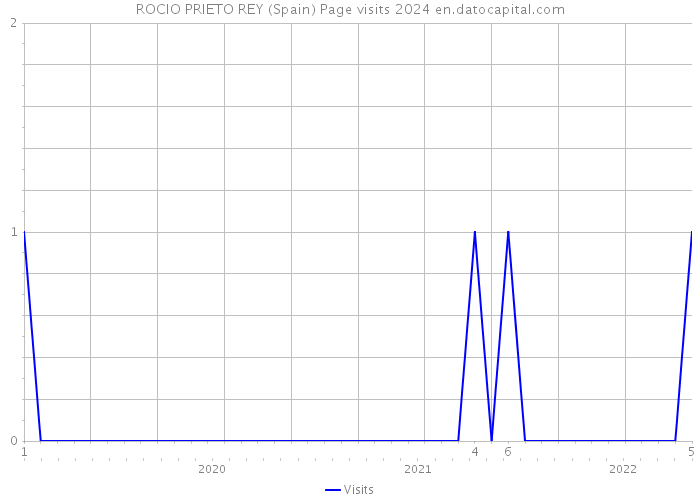 ROCIO PRIETO REY (Spain) Page visits 2024 