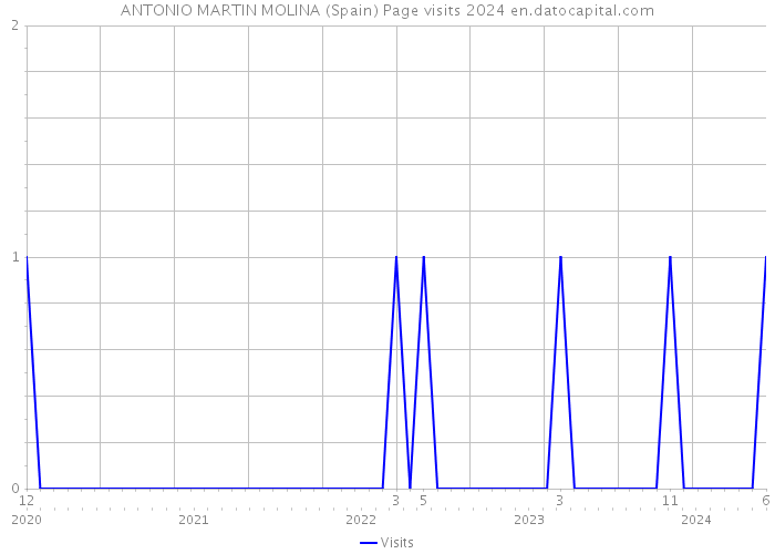 ANTONIO MARTIN MOLINA (Spain) Page visits 2024 