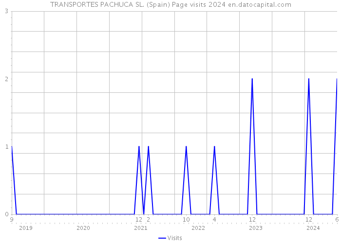 TRANSPORTES PACHUCA SL. (Spain) Page visits 2024 