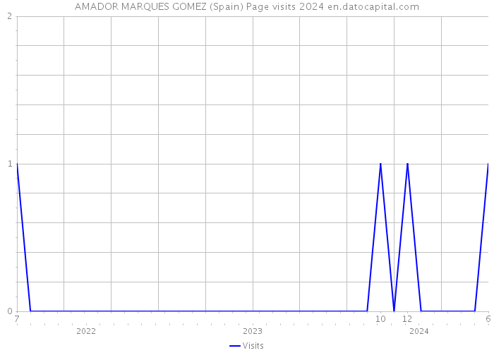 AMADOR MARQUES GOMEZ (Spain) Page visits 2024 