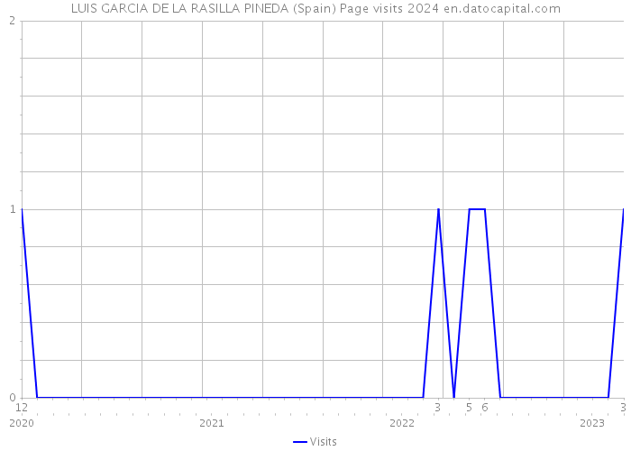 LUIS GARCIA DE LA RASILLA PINEDA (Spain) Page visits 2024 