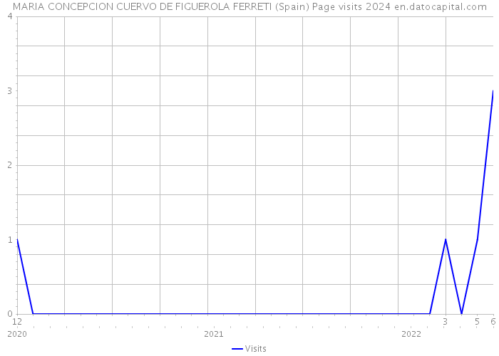 MARIA CONCEPCION CUERVO DE FIGUEROLA FERRETI (Spain) Page visits 2024 