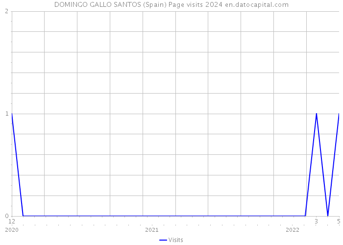 DOMINGO GALLO SANTOS (Spain) Page visits 2024 