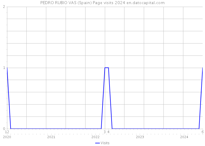 PEDRO RUBIO VAS (Spain) Page visits 2024 