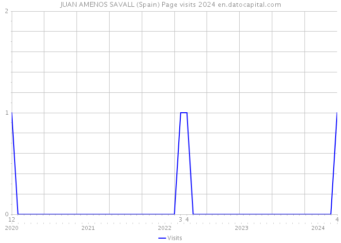 JUAN AMENOS SAVALL (Spain) Page visits 2024 