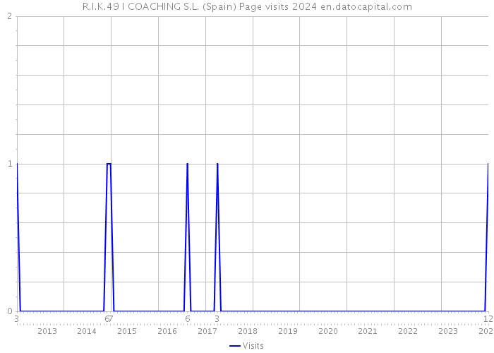 R.I.K.49 I COACHING S.L. (Spain) Page visits 2024 