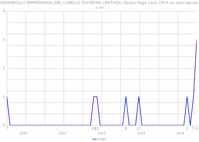 DESARROLLO EMPRESARIAL DEL CABELLO SOCIEDAD LIMITADA (Spain) Page visits 2024 