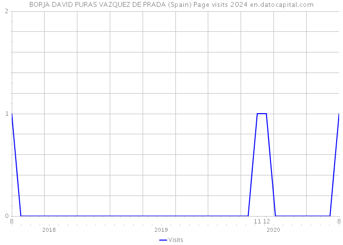 BORJA DAVID PURAS VAZQUEZ DE PRADA (Spain) Page visits 2024 