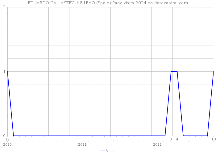 EDUARDO GALLASTEGUI BILBAO (Spain) Page visits 2024 