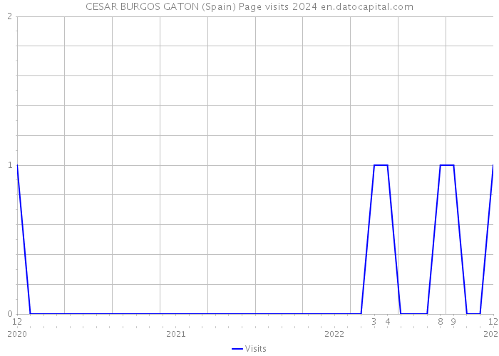 CESAR BURGOS GATON (Spain) Page visits 2024 