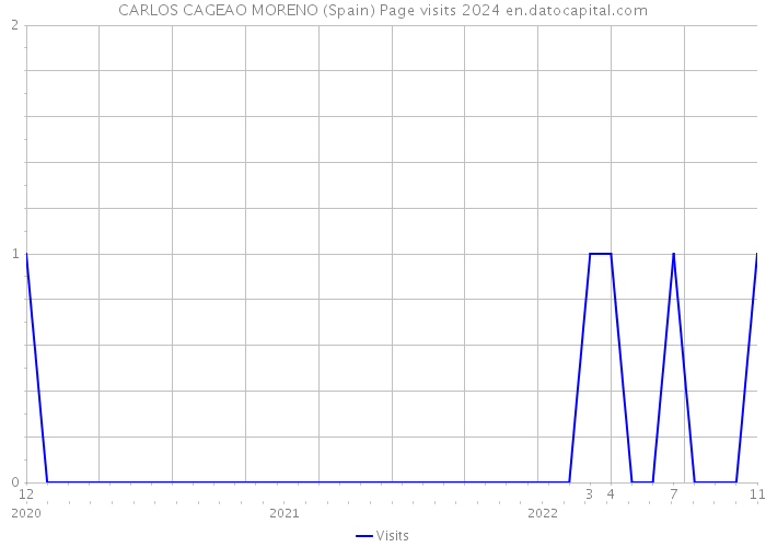 CARLOS CAGEAO MORENO (Spain) Page visits 2024 