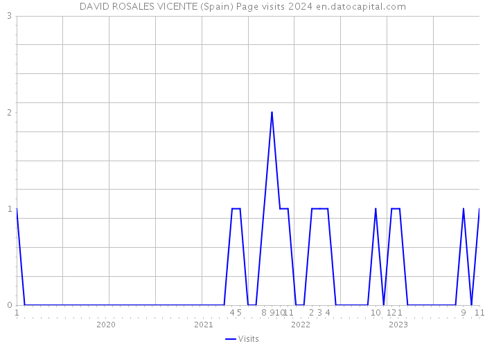 DAVID ROSALES VICENTE (Spain) Page visits 2024 