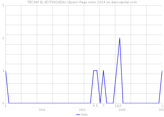 TECAM SL (EXTINGUIDA) (Spain) Page visits 2024 