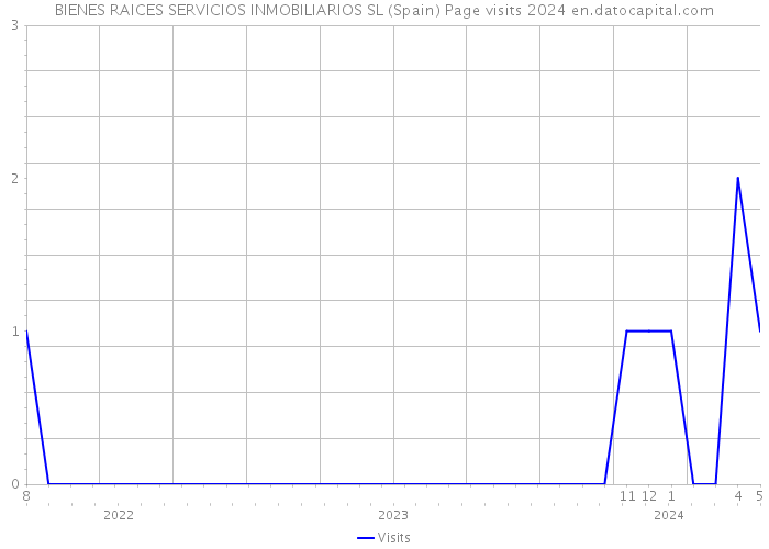BIENES RAICES SERVICIOS INMOBILIARIOS SL (Spain) Page visits 2024 