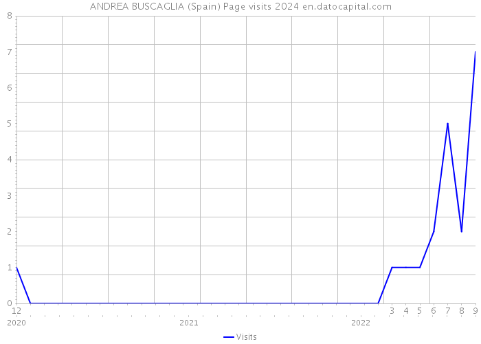 ANDREA BUSCAGLIA (Spain) Page visits 2024 