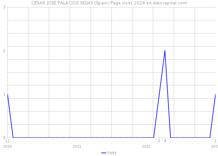 CESAR JOSE PALACIOS SEIJAS (Spain) Page visits 2024 