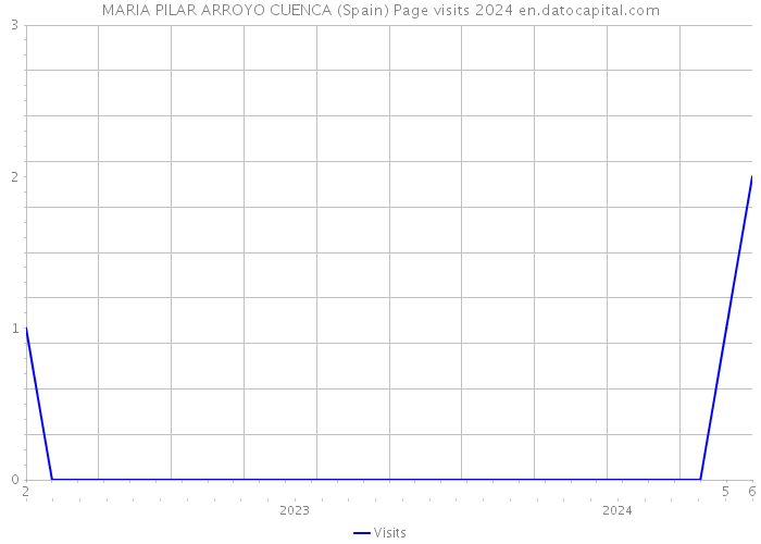 MARIA PILAR ARROYO CUENCA (Spain) Page visits 2024 