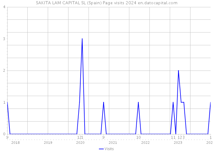 SAKITA LAM CAPITAL SL (Spain) Page visits 2024 