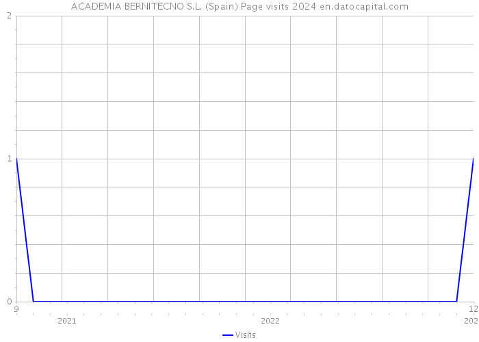 ACADEMIA BERNITECNO S.L. (Spain) Page visits 2024 