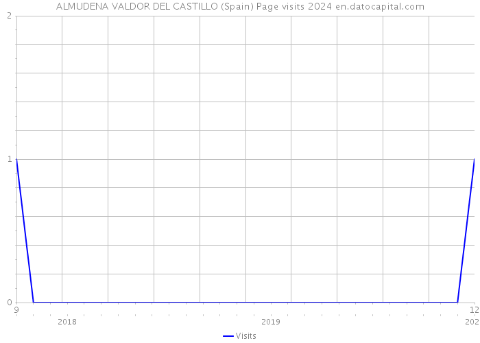 ALMUDENA VALDOR DEL CASTILLO (Spain) Page visits 2024 
