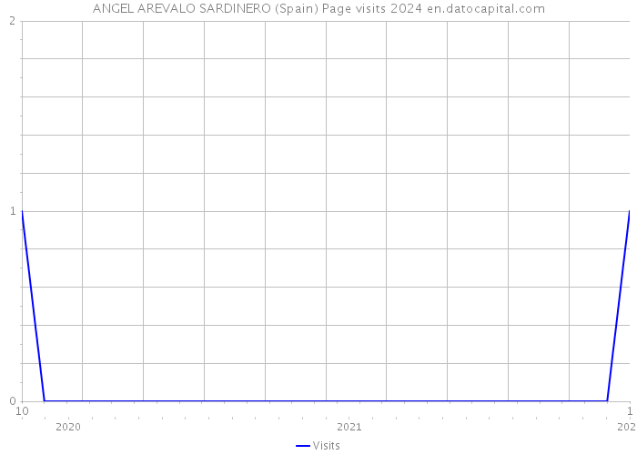 ANGEL AREVALO SARDINERO (Spain) Page visits 2024 