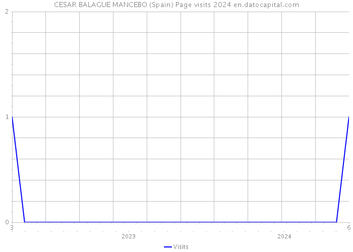 CESAR BALAGUE MANCEBO (Spain) Page visits 2024 