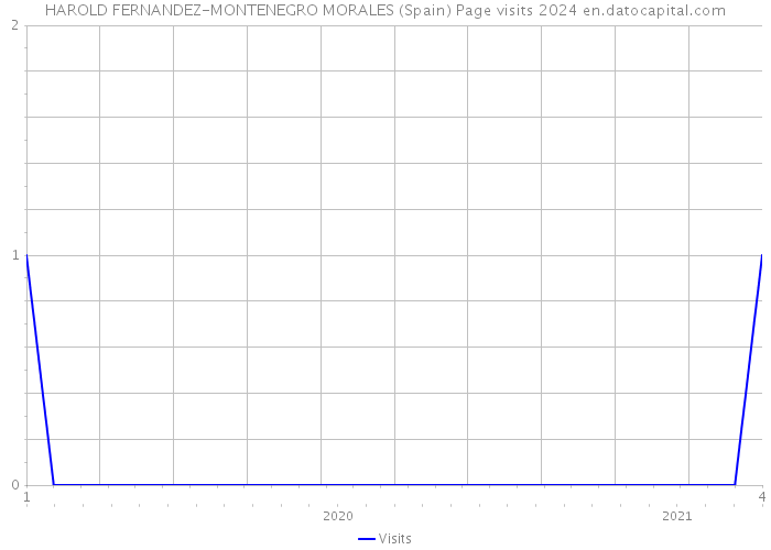HAROLD FERNANDEZ-MONTENEGRO MORALES (Spain) Page visits 2024 