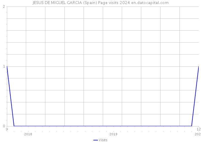 JESUS DE MIGUEL GARCIA (Spain) Page visits 2024 