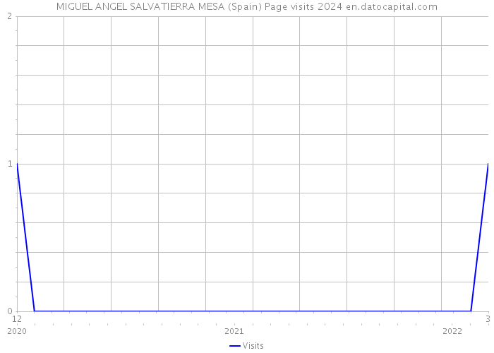 MIGUEL ANGEL SALVATIERRA MESA (Spain) Page visits 2024 