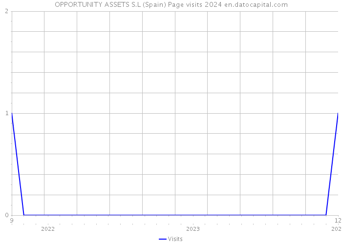OPPORTUNITY ASSETS S.L (Spain) Page visits 2024 