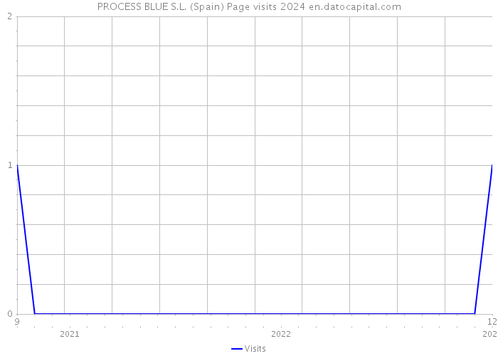 PROCESS BLUE S.L. (Spain) Page visits 2024 