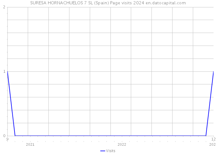 SURESA HORNACHUELOS 7 SL (Spain) Page visits 2024 