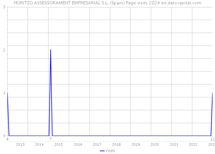 HORITZO ASSESSORAMENT EMPRESARIAL S.L. (Spain) Page visits 2024 