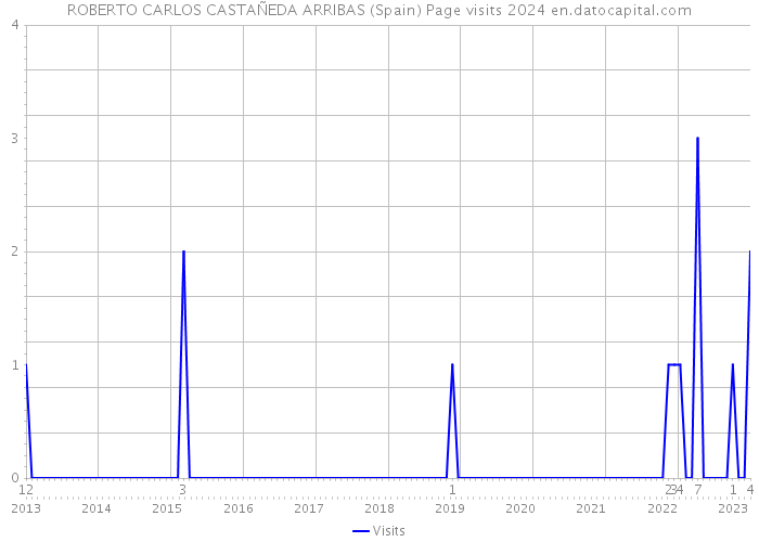 ROBERTO CARLOS CASTAÑEDA ARRIBAS (Spain) Page visits 2024 