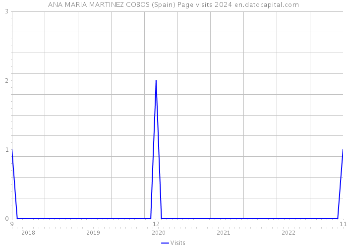 ANA MARIA MARTINEZ COBOS (Spain) Page visits 2024 