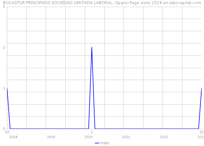 BOCASTUR PRINCIPADO SOCIEDAD LIMITADA LABORAL. (Spain) Page visits 2024 