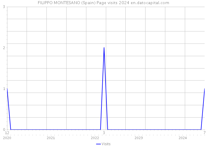 FILIPPO MONTESANO (Spain) Page visits 2024 