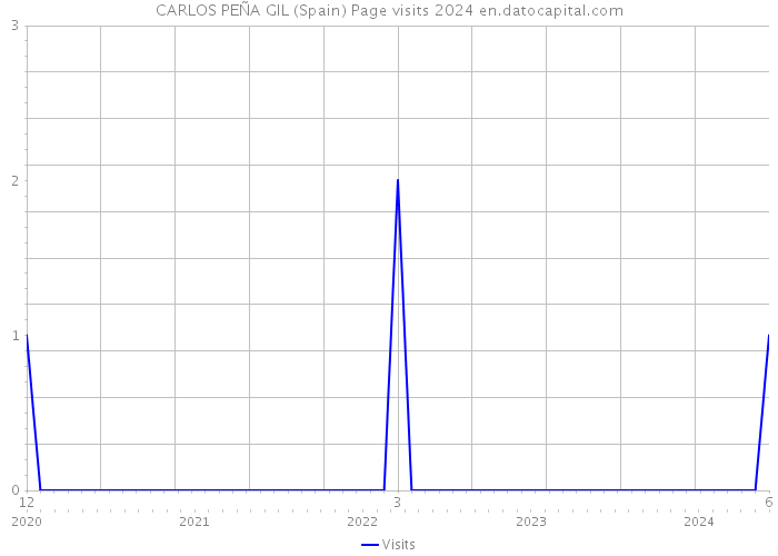 CARLOS PEÑA GIL (Spain) Page visits 2024 