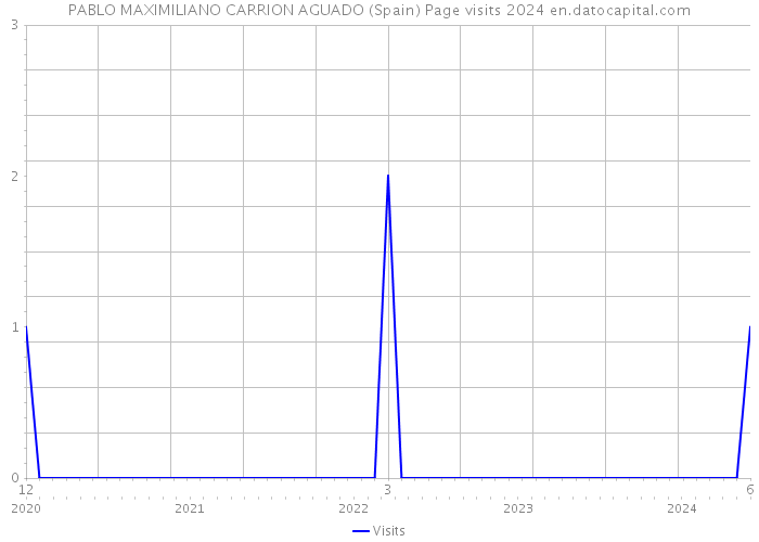 PABLO MAXIMILIANO CARRION AGUADO (Spain) Page visits 2024 