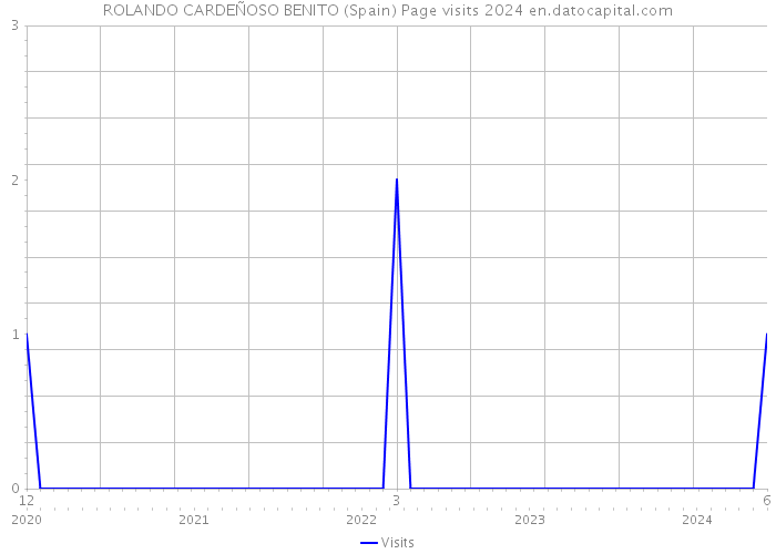 ROLANDO CARDEÑOSO BENITO (Spain) Page visits 2024 